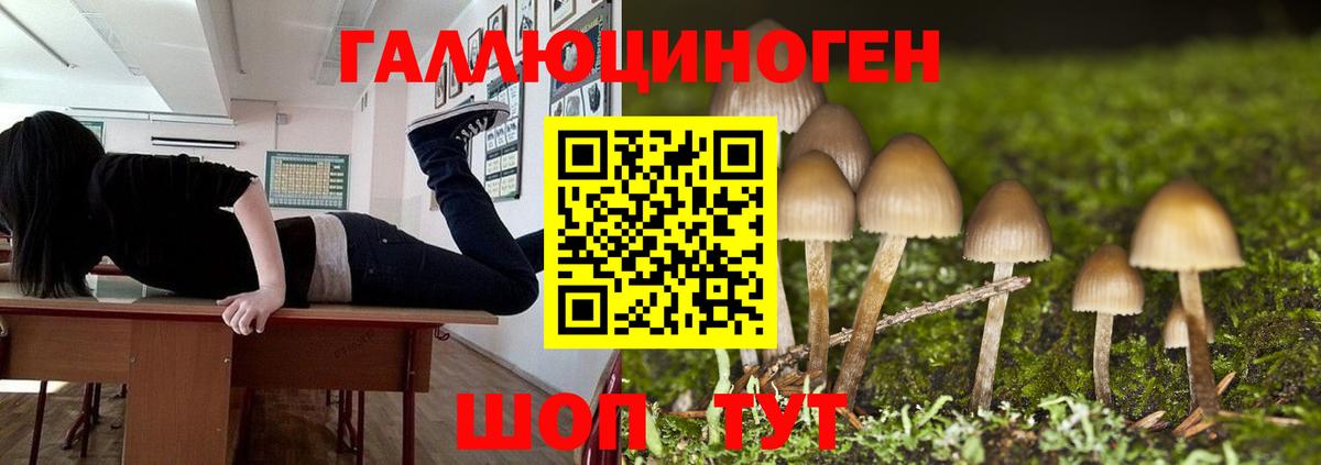 Псилоцибиновые грибы мухоморы Камышлов