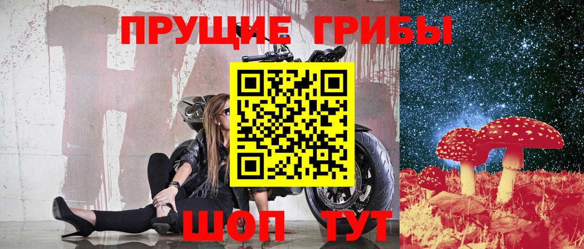 Камышлов  Галлюциногенные грибы Psilocybe  Галлюциногенные грибы ЛСД  Вход с VPN 